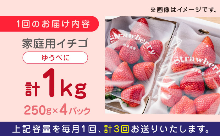 【全3回定期便】熊本県産 ゆうべに いちご セット 250g×4P 農園直送 産地直送 山都町産【なかはた農園】[YBI046] 