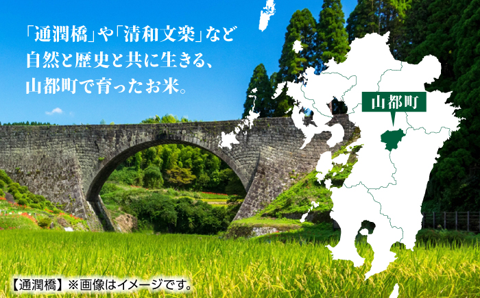 【限定数量】令和6年産 新米 熊本県 山都町産 ひのひかり 計10kg(5kg×2) こめ 【株式会社 米久】[YDB001]