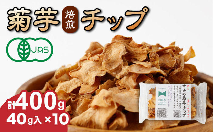 九州産モリンガ100%モリンガパウダー50g【添加物不使用】【1424733