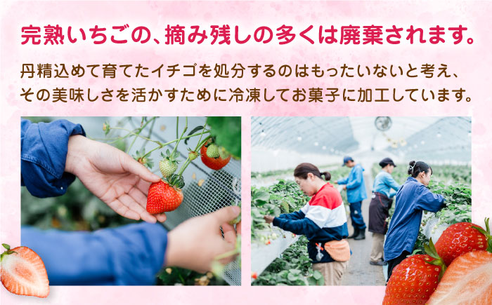 【全12回定期便】なかはた農園の苺クレープ 10本 山都町産 熊本県産【なかはた農園】 アイス おやつ おかし スイーツ デザート いちご イチゴ [YBI055]