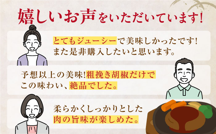 あか牛100％ ハンバーグ ステーキ 150g×5パック 計750g 熊本県産 牛肉 赤牛 ジューシー 褐牛 あかうし 褐毛和種 肥後 冷凍 国産 牛肉 熊本【株式会社 利他フーズ】[YBX026] 10000 10,000 10000円 10,000円 1万円