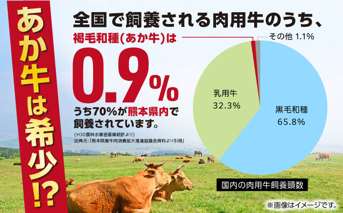 【全6回定期便】熊本県産 あか牛 切り落とし 合計6kg (500g×2P) 熊本 赤牛 褐牛 あかうし 褐毛和種 肥後 冷凍 国産 牛肉【五右衛門フーズ】[YBZ007] 