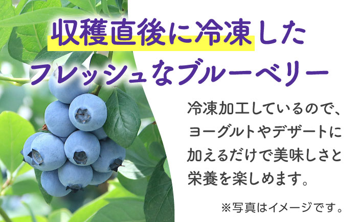 【8月末より順次発送】【全3回定期便】【加工用】冷凍ブルーベリー 2kg【「のん気・元気」百姓家】 [YAL029]