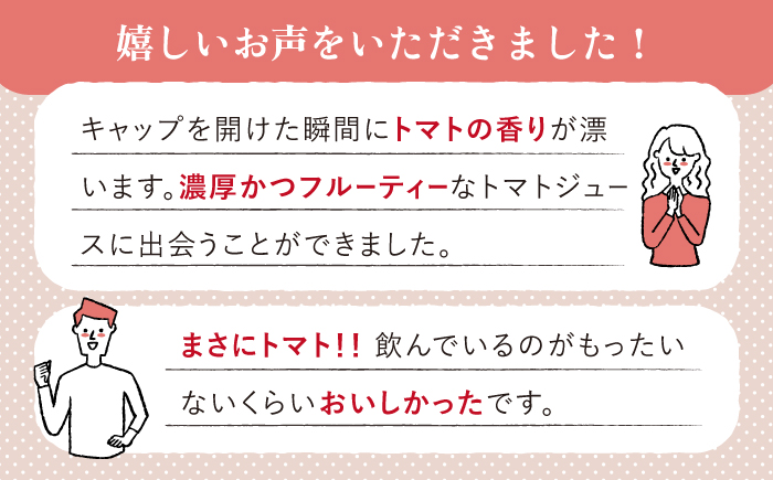 【先行予約】【化粧箱入り】松岡さんの 無塩 フルティカ トマトジュース ( 900g × 2本 )【株式会社 松岡グリーンファーム山都】[YBJ002] 