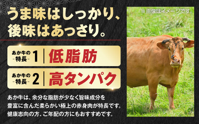 【全12回定期便】増量 GI認証 くまもとあか牛 12種 食べ比べ 【有限会社 三協畜産】 [YCG102]