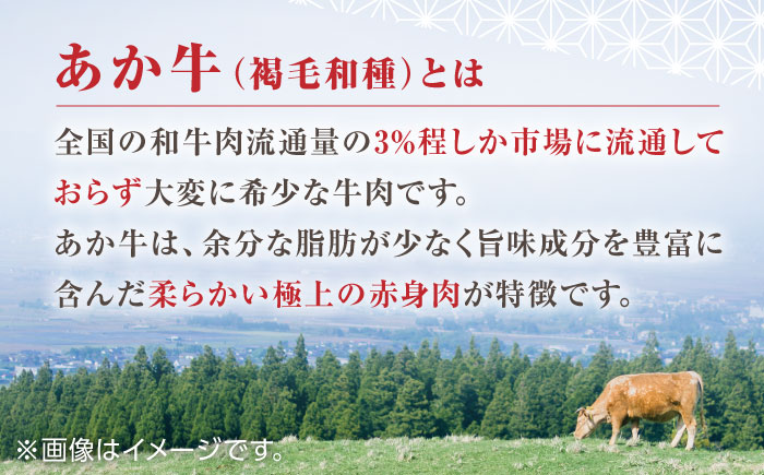 【全12回定期便】熊本県産 あか牛 ぎょうざ 計40個 ( 20個 × 2箱 ) 熊本和牛【有限会社 三協畜産】[YCG094] 