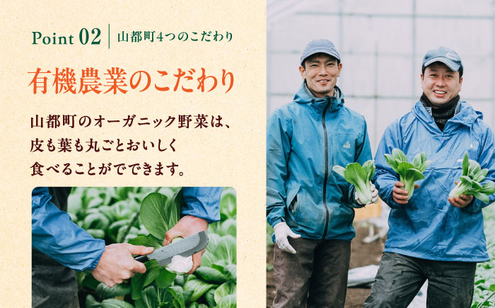 有機野菜 オーガニック 8種 野菜セット 有機JAS認定 熊本県産 オーガニック野菜 山都町産 産地直送 熊本直送【株式会社 肥後やまと】[YAF003] 