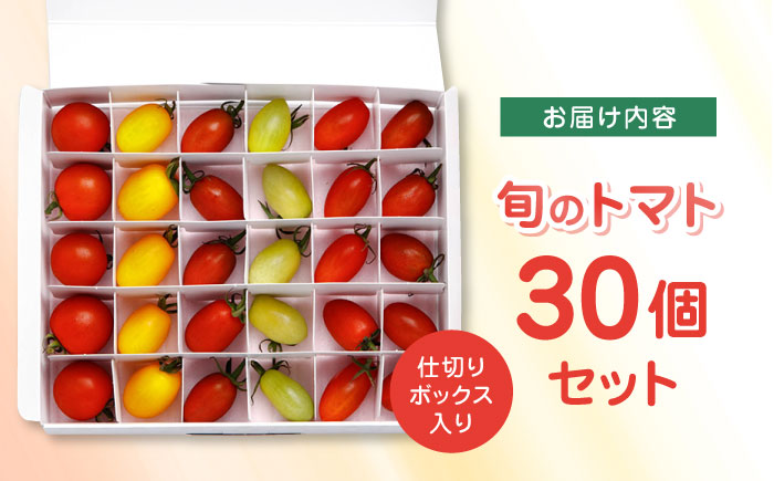 【期間限定】熊本県産 減農薬栽培 トマト ミディトマト 詰め合わせ 30個セット 食べ比べ ギフトセット 産地直送【矢仁田農園】[YDE001] 