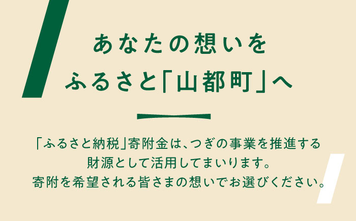 【応援寄附金】熊本県 山都町 ふるさとづくり 返礼品なし ふるさと納税 (10,000円分)[YZZ014] 