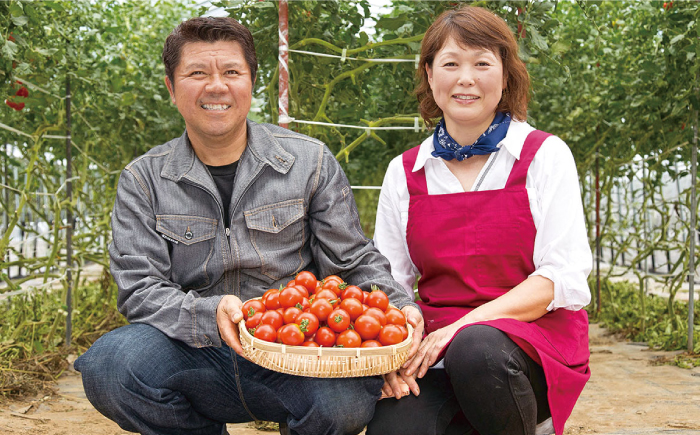 【先行予約】【無塩】松岡さんの フルティカ トマトジュース ( 180g × 5パック ) 【株式会社松岡グリーンファーム山都】[YBJ009] 