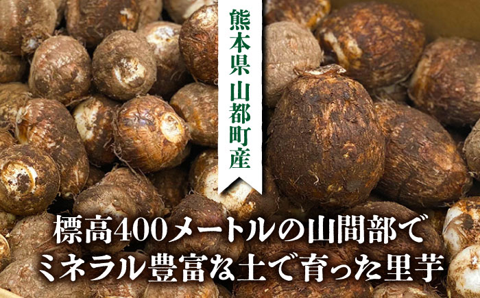 【産地直送】土付き 里芋 約10kg  ( 大サイズ 小サイズ 各5kg ) 竹粉育ち 山都町産 熊本産[YCT006] 