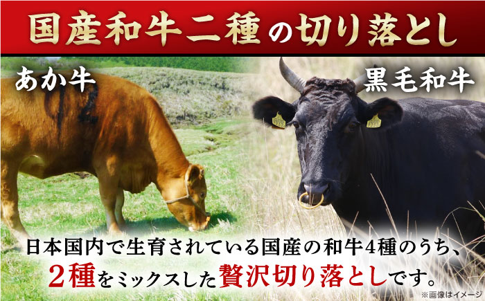 【全12回定期便】熊本県産 くまもと黒毛和牛 あか牛 ミックス 切り落とし 500g 牛肉【熊本県畜産農業協同組合】 [YAD019]