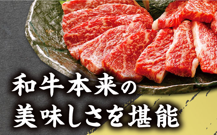 【全3回定期便】熊本和牛 あか牛 焼肉用 400g やきにく 焼き肉 贅沢 GI認証 赤牛 褐牛 あかうし 褐毛和種 肥後 冷凍 国産 牛肉【有限会社 桜屋】[YBW099] 