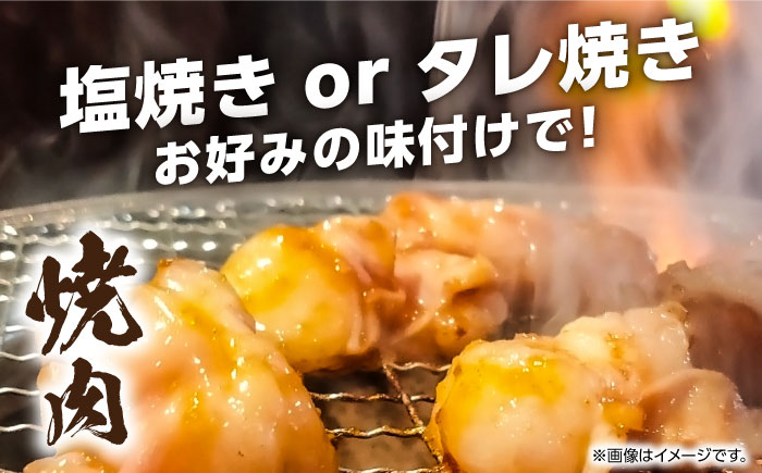 【全3回定期便】熊本県産 あか牛 白 ホルモン 合計1.5kg (250g×2P) 熊本 赤牛 褐牛 あかうし 褐毛和種 肥後 冷凍 国産 牛肉【五右衛門フーズ】[YBZ019] 