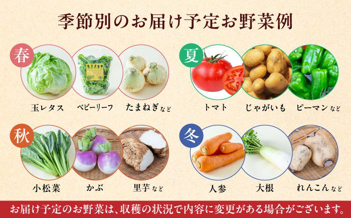 【全2回定期便】オーガニック 野菜 セット 8種【株式会社 肥後やまと】 [YAF027]