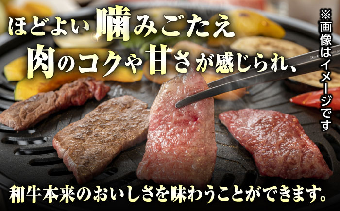 【全6回定期便】 肥後の赤牛 焼肉用 500g やきにく 焼き肉 贅沢 熊本 赤牛 褐牛 あかうし 褐毛和種 肥後 冷凍 国産 牛肉【やまのや】[YDF014] 72000 72,000 72000円 72,000円