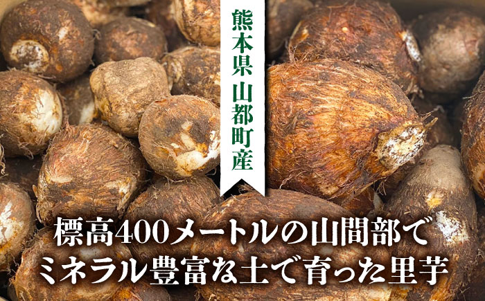 【産地直送】土付き 里芋 約5kg ( 大サイズ 小サイズ 各2.5kg ) 竹粉育ち 山都町産 熊本産[YCT005] 12000 12,000 12000円 12,000円