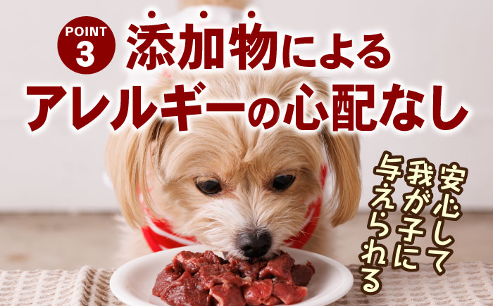 【全12回定期便】国内加工 ペット用 馬肉 切り落とし 合計24kg (1kg×2P) ドッグフード ペットフード 熊本【五右衛門フーズ】[YBZ016] 