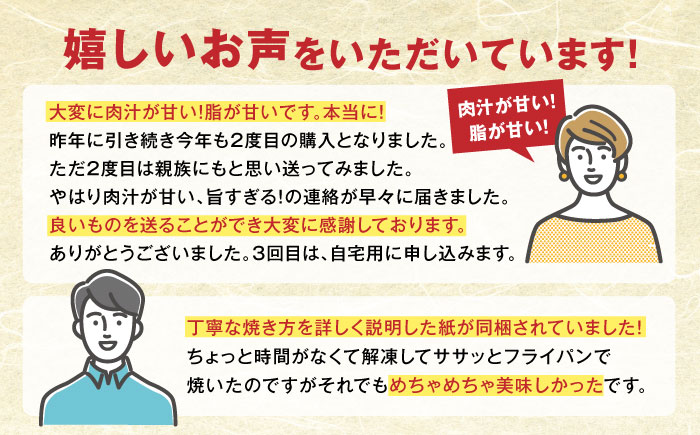 【全3回定期便】 肥後の赤牛 ハンバーグ 150g×10個 熊本 赤牛 ジューシー 褐牛 あかうし 褐毛和種 肥後 冷凍 国産 牛肉【やまのや】[YDF011] 