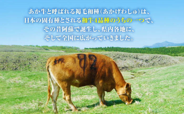 熊本県産 あか牛 すき焼き用 肩ロース 500g 熊本 赤牛 褐牛 あかうし 褐毛和種 肥後 冷凍 国産 牛肉【熊本県畜産農業協同組合】[YAD011] 