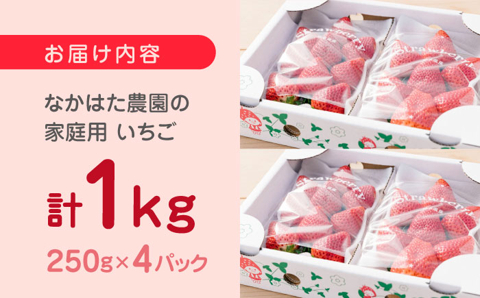 【2024年12月〜順次発送】いちご 3品種 食べ比べセット 計1000g ( 250g × 4P ) 農園直送 産地直送 熊本県産 山都町産【なかはた農園】[YBI002] 