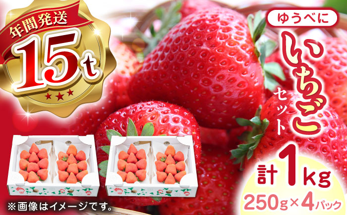 【2024年12月〜順次発送】熊本県産 ゆうべに いちご 計1kg ( 250g × 4P ) 農園直送 産地直送 山都町産【なかはた農園】[YBI029] 