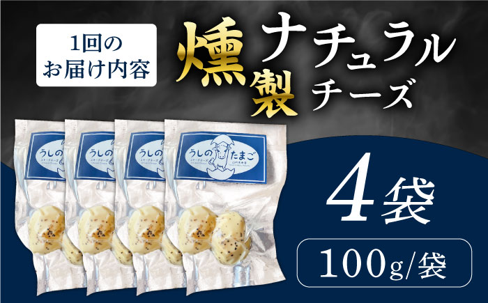 【全3回定期便】燻製 ナチュラルチーズ 100g (2個入り)×4袋 【山の未来舎】 [YBV031]