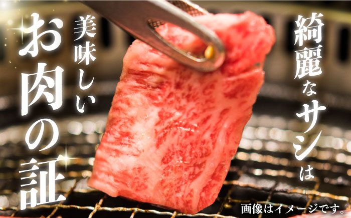 くまもと黒毛和牛 焼肉用 400g やきにく 焼き肉 国産 冷凍 熊本産 贅沢 牛肉【有限会社 桜屋】[YBW048] 