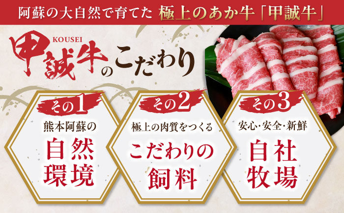 熊本県産 あか牛 バラ切り落としセット 500g 熊本 赤牛 褐牛 あかうし 褐毛和種 肥後 冷凍 国産 牛肉【有限会社 三協畜産】[YCG044]