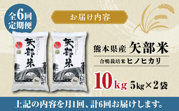 全6回定期便】令和5年産 矢部米 合鴨栽培米 10kg (5kg×2袋) お米 合鴨