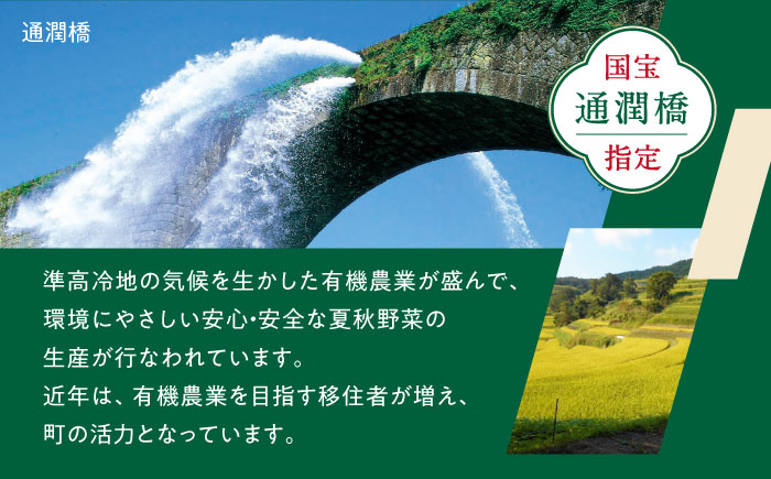 【応援寄附金】熊本県 山都町 ふるさとづくり 返礼品なし ふるさと納税 (5,000円分)[YZZ013] 