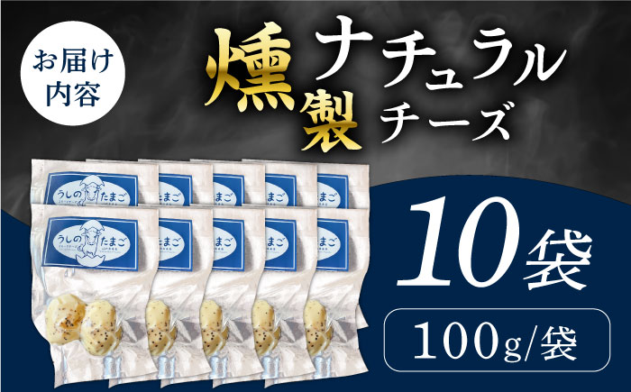 燻製 ナチュラルチーズ 100g (2個入り)×10袋 【山の未来舎】 [YBV027]