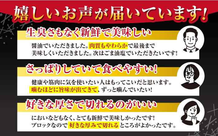 【全6回定期便】熊本肥育 赤身 馬刺し 計200g (100g×2パック) 熊本 冷凍 馬肉 馬刺 ヘルシー【五右衛門フーズ】[YBZ011] 60000 60,000 60000円 60,000円 6万円