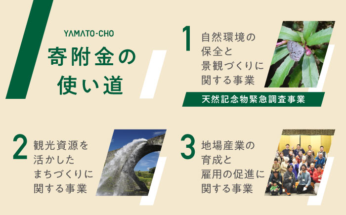 【応援寄附金】熊本県 山都町 ふるさとづくり 返礼品なし ふるさと納税 (100,000円分)[YZZ016] 