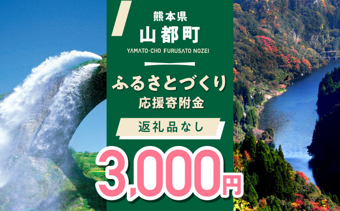 【応援寄附金】熊本県 山都町 ふるさとづくり 返礼品なし ふるさと納税 (3,000円分)[YZZ012] 3000 3,000 3000円 3,000円