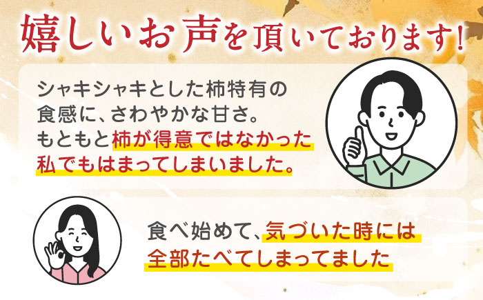 【先行予約】【化粧箱入り】山都町産 太秋柿 約2kg 甘柿 柿 かき 果物 フルーツ デザート スイーツ 秋の味覚 産地直送 山都町産 プレゼント 贈り物【大浜農園】[YCE001] 