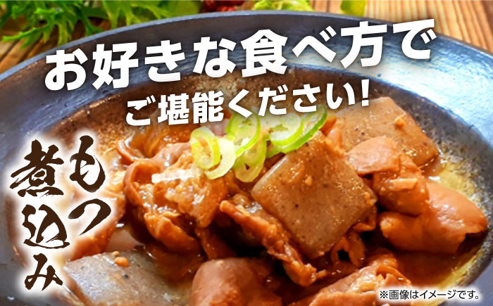 【全3回定期便】熊本県産 あか牛 白 ホルモン 合計1.5kg (250g×2P) 熊本 赤牛 褐牛 あかうし 褐毛和種 肥後 冷凍 国産 牛肉【五右衛門フーズ】[YBZ019] 