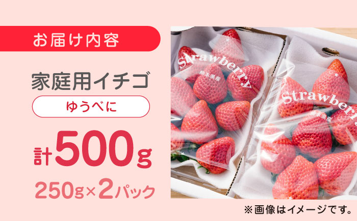 【2024年12月〜順次発送】熊本県産 ゆうべに いちご  計500g ( 250g × 2P ) 農園直送 産地直送 山都町産【なかはた農園】[YBI028] 