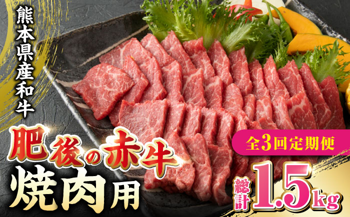 【全3回定期便】 肥後の赤牛 焼肉用 500g やきにく 焼き肉 贅沢 熊本 赤牛 褐牛 あかうし 褐毛和種 肥後 冷凍 国産 牛肉【やまのや】[YDF013] 