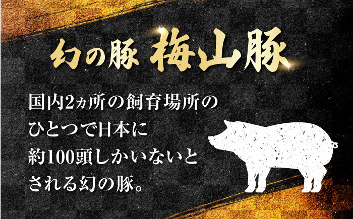 【幻の豚】梅山豚 生ソーセージ 計30本 ( 5本 × 6袋 ) ソーセージ 国産 熊本 九州産 希少【一般社団法人 山都町観光協会】[YAB005]