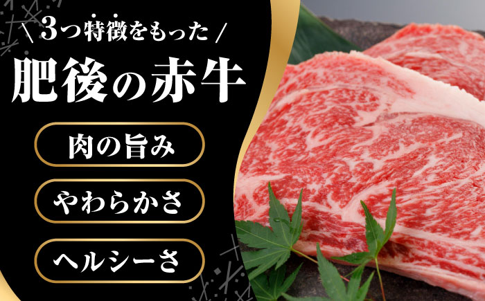 肥後の赤牛 ロースステーキ 500g ロース ステーキ 贅沢 熊本 赤牛 赤牛 褐牛 あかうし 褐毛和種 肥後 冷凍 国産 牛肉 九州産 熊本産【やまのや】[YDF026]