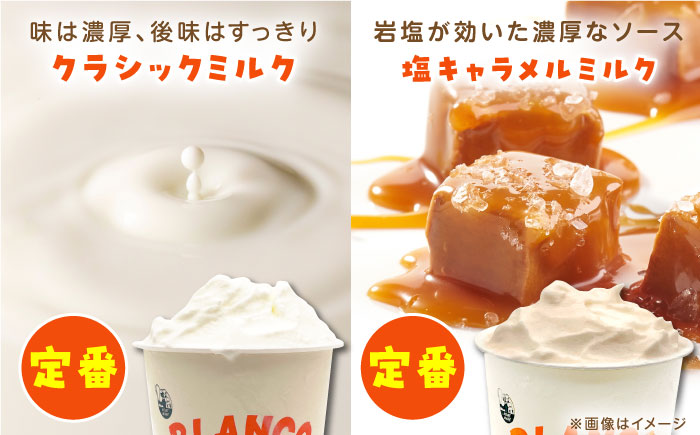 ハンドメイドアイスクリーム 6種 食べ比べ  8個セット 詰め合わせ アイスクリーム 熊本 山都町 アイス【BLANCO ICE CREAM】[YCM005]