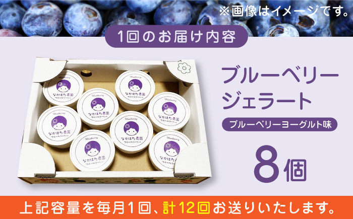 【限定数量】【全12回定期便】熊本県産 ブルーベリージェラート 8個 アイス カップ 熊本 山都町 冷凍【なかはた農園】[YBI043] 