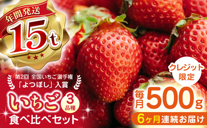 【先行予約】【全6回定期便】 いちご 食べ比べセット 総計3.0kg ( 250g × 2P × 6回 ) 農園直送 産地直送 熊本県産 山都町産【なかはた農園】[YBI014] 