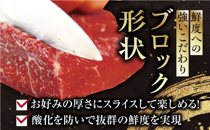 【熊本肥育】熊本ならでは！霜降り馬刺しをたっぷり楽しむセット 計500g 【株式会社 利他フーズ】 [YBX040]