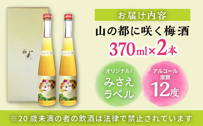 【梅酒品評会受賞】 山の都に咲く梅酒 370ml 2本 お酒 地酒 梅酒 お中元 お歳暮 熊本県 山都町【通潤酒造株式会社】[YAN047] 