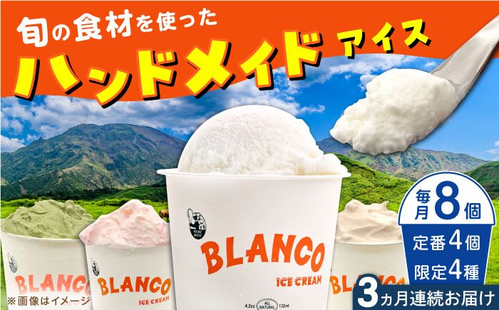 【全3回定期便】ハンドメイドアイスクリーム 6種 食べ比べ  8個セット 詰め合わせ アイスクリーム 熊本 山都町 アイス【BLANCO ICE CREAM】[YCM006] 