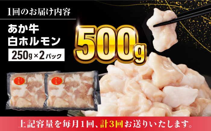 【全3回定期便】熊本県産 あか牛 白 ホルモン 合計1.5kg (250g×2P) 熊本 赤牛 褐牛 あかうし 褐毛和種 肥後 冷凍 国産 牛肉【五右衛門フーズ】[YBZ019] 