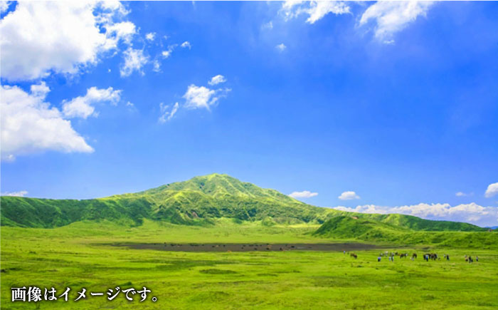 【全6回定期便】熊本肥育 赤身 馬刺し 計200g (100g×2パック) 熊本 冷凍 馬肉 馬刺 ヘルシー【五右衛門フーズ】[YBZ011] 