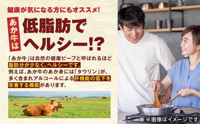 【全3回定期便】 肥後の赤牛 ハンバーグ 150g×10個 熊本 赤牛 ジューシー 褐牛 あかうし 褐毛和種 肥後 冷凍 国産 牛肉【やまのや】[YDF011] 